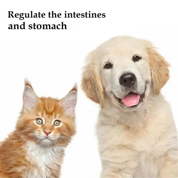 PET Nutrition Probiotics - Image 4