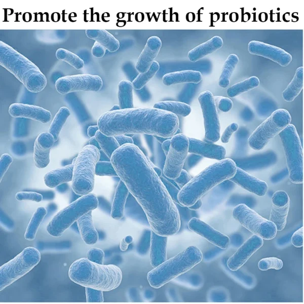 PET Nutrition Probiotics - Image 5