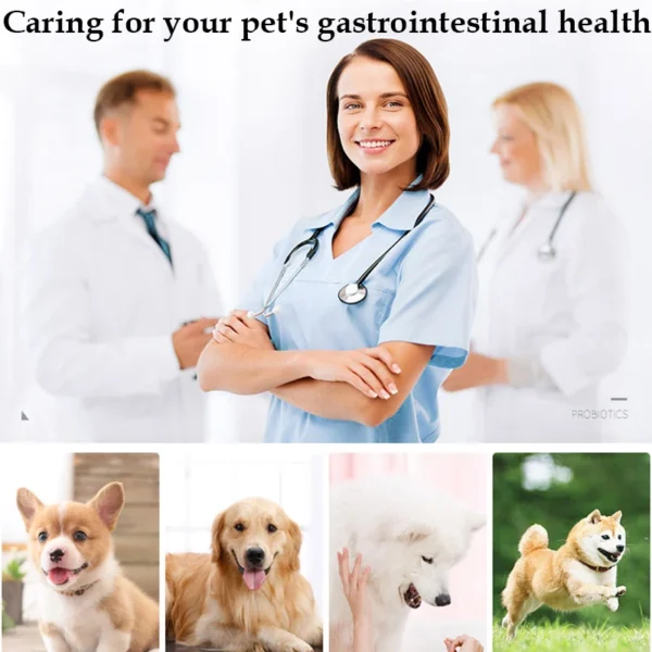 PET Nutrition Probiotics - Image 6
