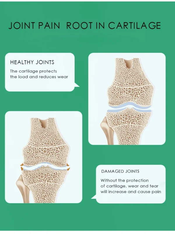 Chondroitin tablets for pet dogs - Image 4