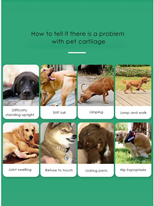 Chondroitin tablets for pet dogs - Image 6