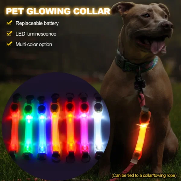 Dog Anti Lost Safety Glowing Collar - Image 2