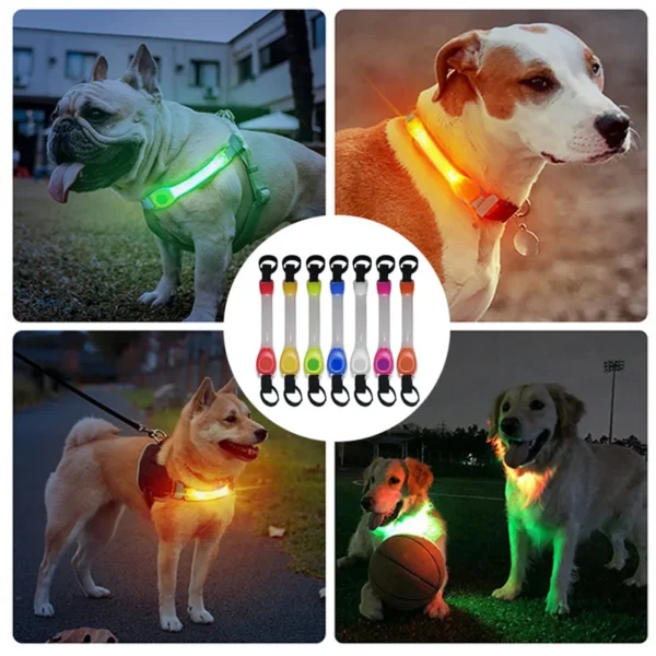Dog Anti Lost Safety Glowing Collar - Image 3