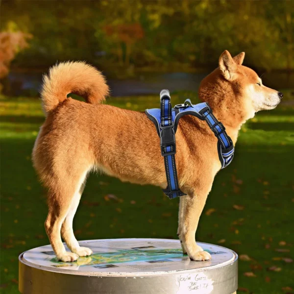 Breathable Reflective Dog Harness Vest with Handle - Image 4