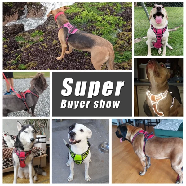 Breathable Reflective Dog Harness Vest with Handle - Image 5