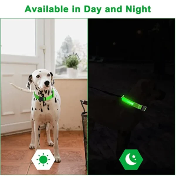 Glowing Dog Collar Adjustable Flashing - Image 4