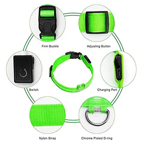 Glowing Dog Collar Adjustable Flashing - Image 6