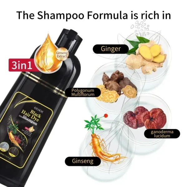 Natural Herbal Hair Dye Shampoo - Image 2