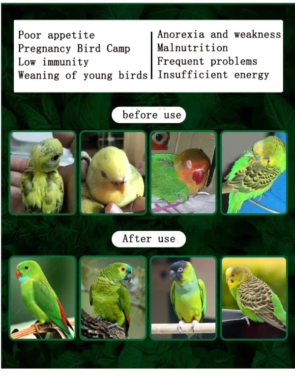 Parrot Glucose Electrolyte - Image 2