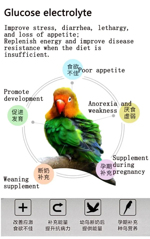 Parrot Glucose Electrolyte - Image 3