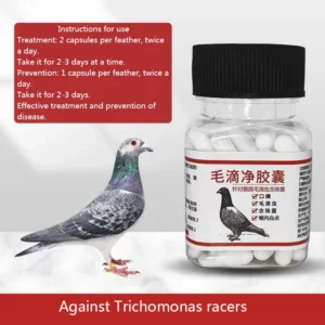 Pigeon Nutritional Supplement Capsule