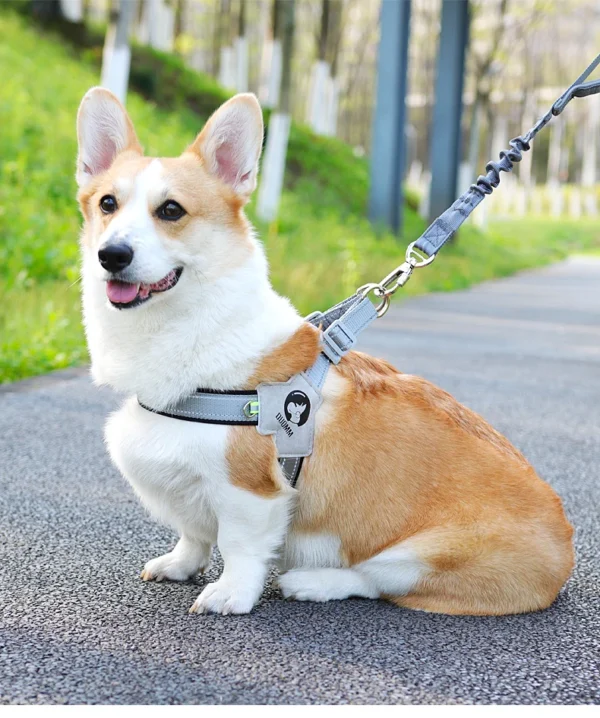 Premium Dog Leash Chest Strap - Image 3