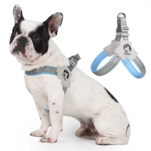 Premium Dog Leash Chest Strap